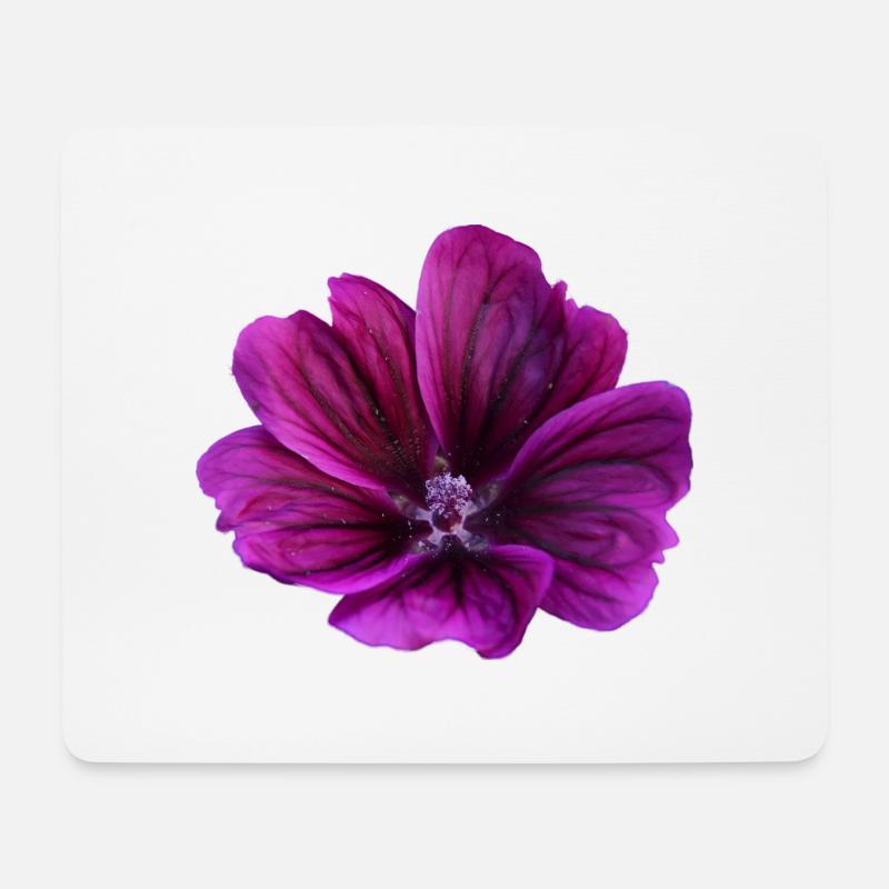 Malve violette Blüte - Mousepad (Querformat) - Weiß