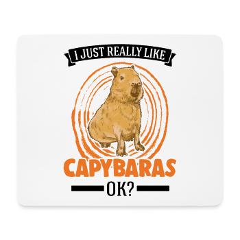 Ich mag einfach Capybaras Wasserschwein - Mousepad (Querformat) - Weiß - Vorne