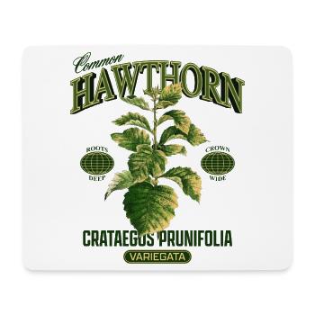 Common Hawthorn Botanical Art - Mousepad (Querformat) - Weiß - Vorne