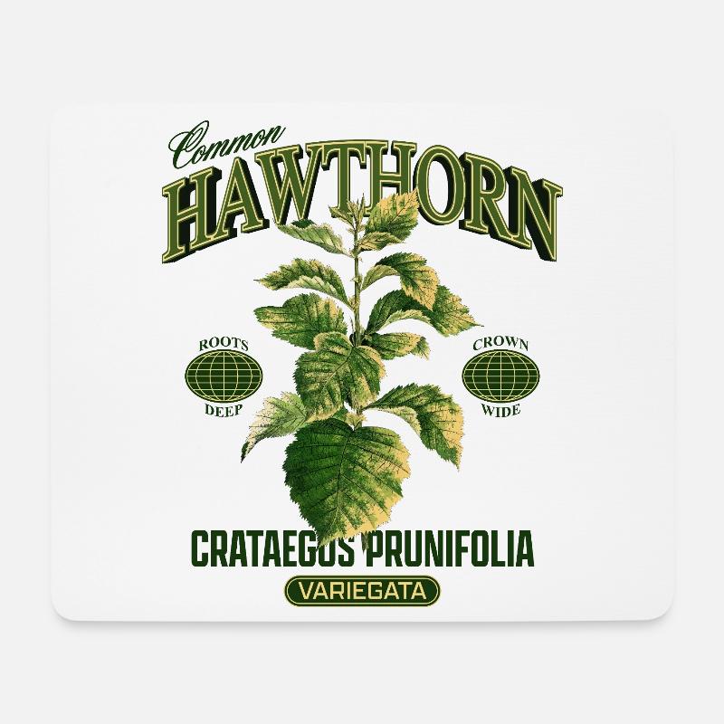 Common Hawthorn Botanical Art - Mousepad (Querformat) - Weiß