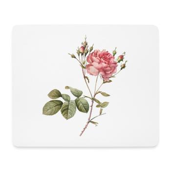 Illustration botanique de rose vintage - Tapis de souris (format paysage) - blanc - Devant
