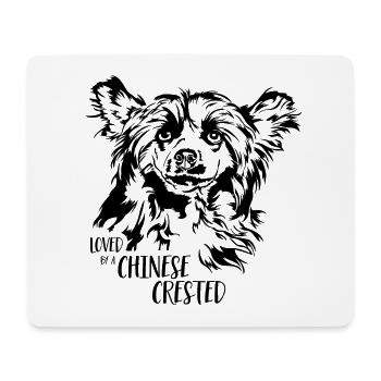 Aimé par un chien chinois à crête Chien Wilsigns - Tapis de souris (format paysage) - blanc - Devant