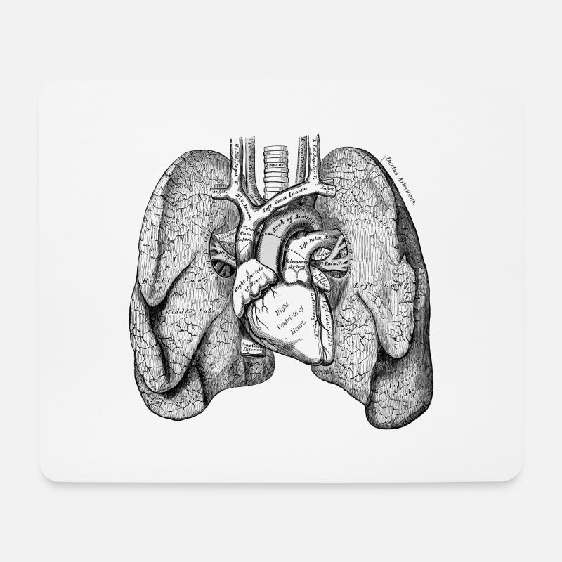 Menschlicher Körper - Lunge - Mousepad (Querformat) - Weiß