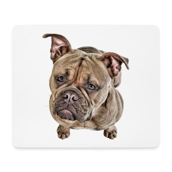 Bulldog Old English Bulldog Dog Dogs - Mouse Pad (horizontal) - white - Front