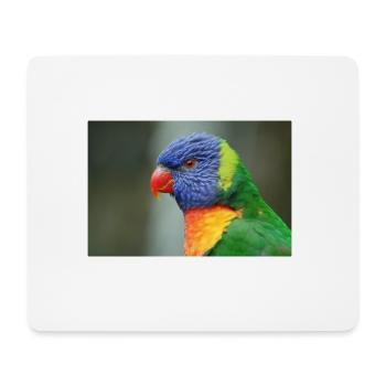 Honigpapagei alias Loris - Mousepad (Querformat) - Weiß - Vorne