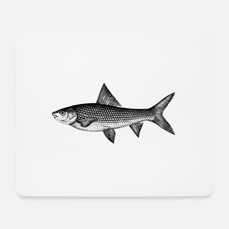 karpfen carp fisch fish animal tiere - Mousepad (Querformat) - Weiß
