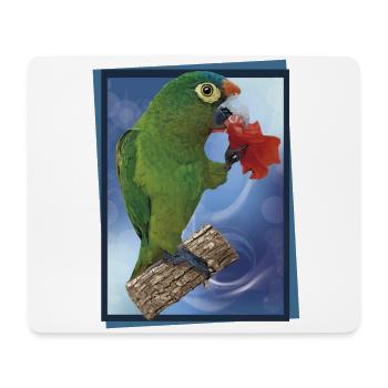 Orange-fronted parakeet - Mouse Pad (horizontal) - white - Front