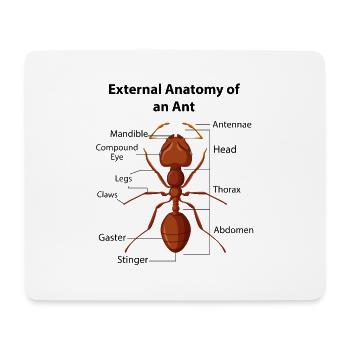 Ant Keeping Keeper Collector Insects Myrmecology - Mouse Pad (horizontal) - white - Front
