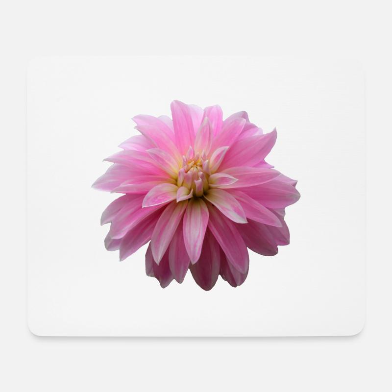 Fleur Rose Rose Fleur Fleurs Rose Rose Fleurs - Tapis de souris (format paysage) - blanc
