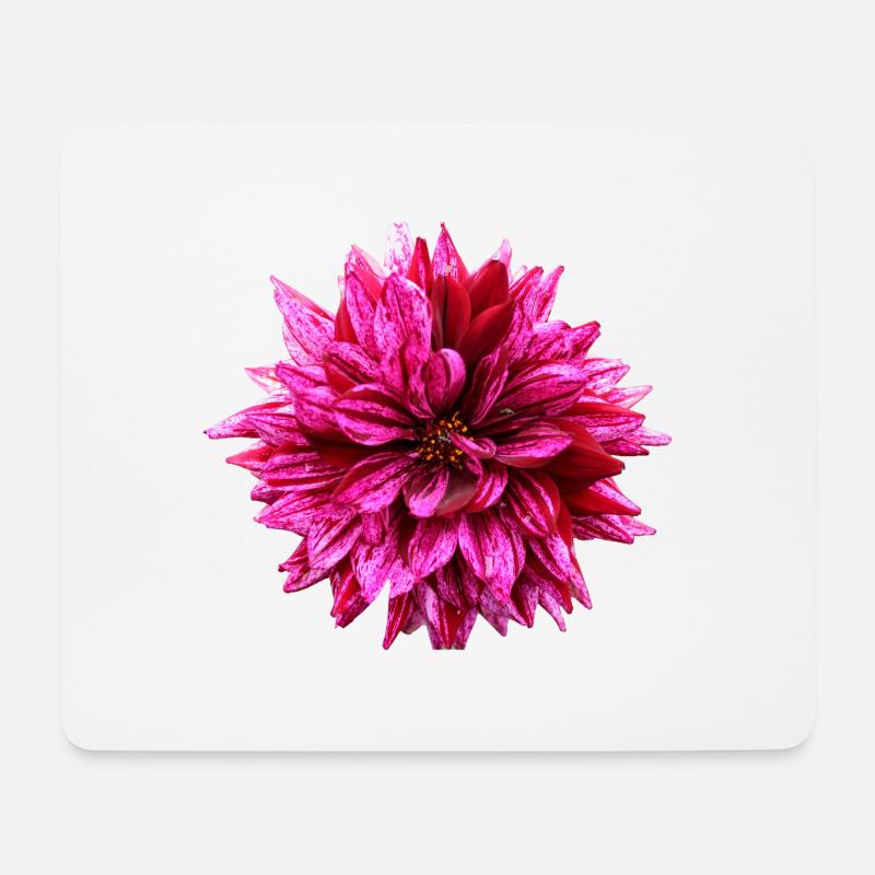 Blume rosa pinke Blume Blumen pink rosa Blumen - Mousepad (Querformat) - Weiß