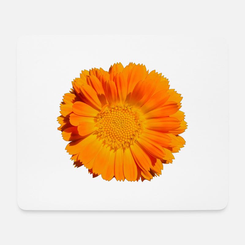 Blume Blüte - Mousepad (Querformat) - Weiß
