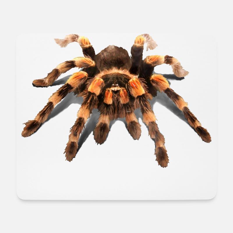 TARANTEL, MEXIKANISCHE VOGELSPINNE MIT ROTEM KNIE - Mousepad (Querformat) - Weiß