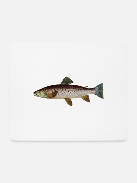Forelle - Mousepad (Querformat) - Weiß