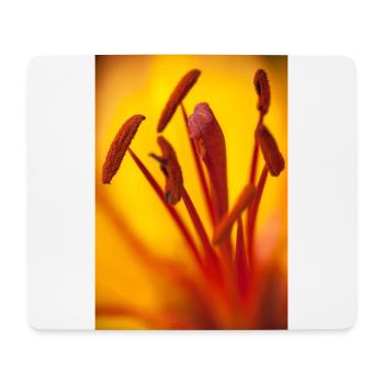 Orange Blüte Blume Makro Stempel - Mousepad (Querformat) - Weiß - Vorne