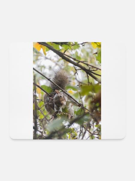 The Squirrel's Invitation - Mouse Pad (horizontal) - white