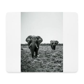 Namibia Elefanten Etosha - Mousepad (Querformat) - Weiß - Vorne