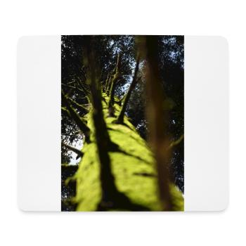 Flachwinkliger Baum Douglasie - Mousepad (Querformat) - Weiß - Vorne
