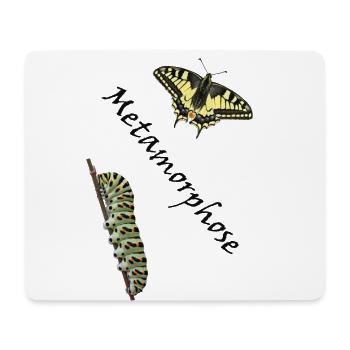 Machaon à la chenille, métamorphose - Tapis de souris (format paysage) - blanc - Devant