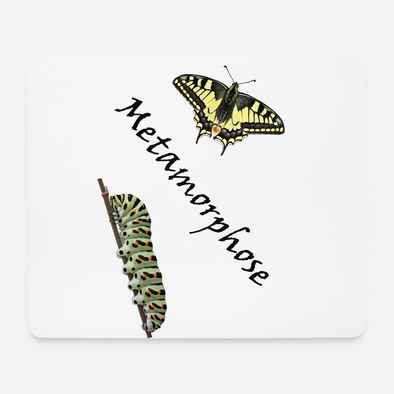 Schwalbenschwanz mit Raupe, Metamorphose - Mousepad (Querformat) - Weiß