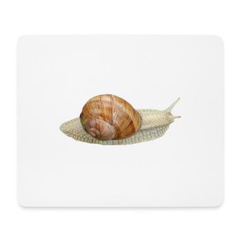 Escargot, escargot de vigne - Tapis de souris (format paysage) - blanc - Devant