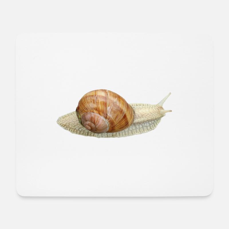 Schnecke, Weinbergschnecke - Mousepad (Querformat) - Weiß