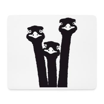 Nandu, tête d’autruche, émeu, autruche - Tapis de souris (format paysage) - blanc - Devant