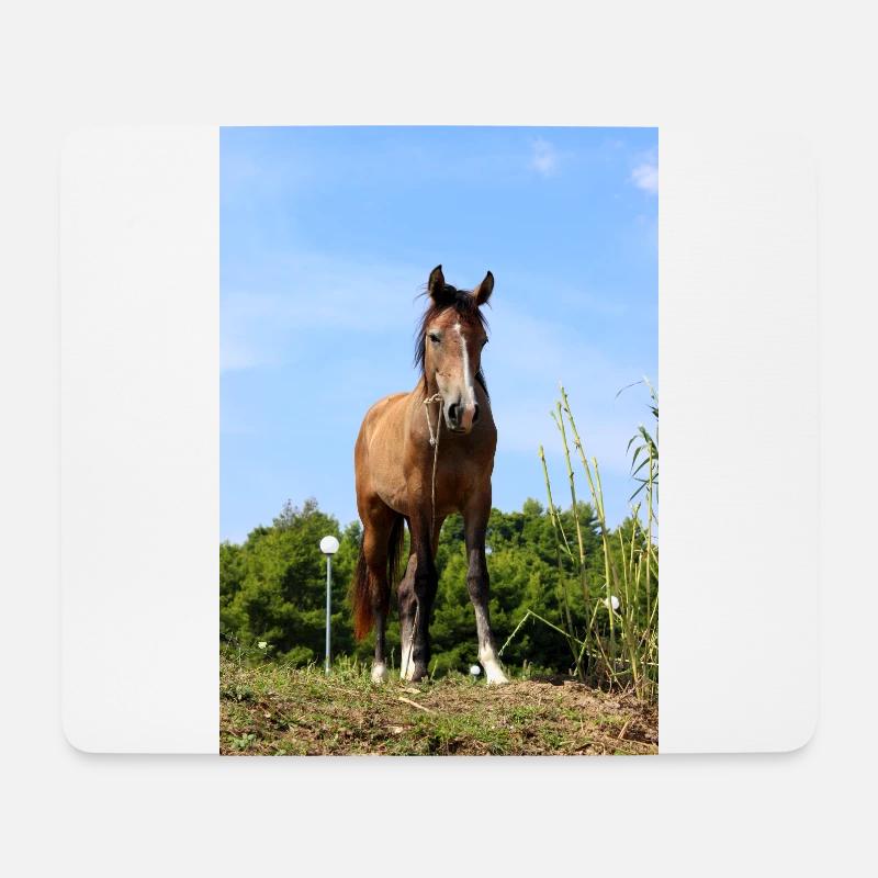 Pferd - Mousepad (Querformat) - Weiß