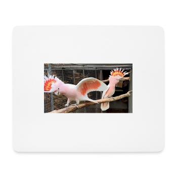 Major Mitchell Cockatoo - paire - Tapis de souris (format paysage) - blanc - Devant