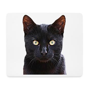 Katze schwarze Katze Katzen cat Cats - Mousepad (Querformat) - Weiß - Vorne