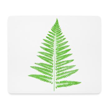 Blatt Farn - Botanik Pflanzen - Mousepad (Querformat) - Weiß - Vorne