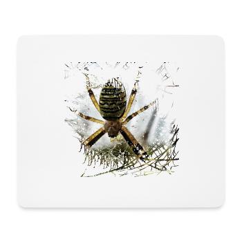 Wespenspinne am seidenen Faden in Lauerstellung - Mousepad (Querformat) - Weiß - Vorne