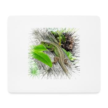 The fence lizcker is a widespread reptile - Mouse Pad (horizontal) - white - Front