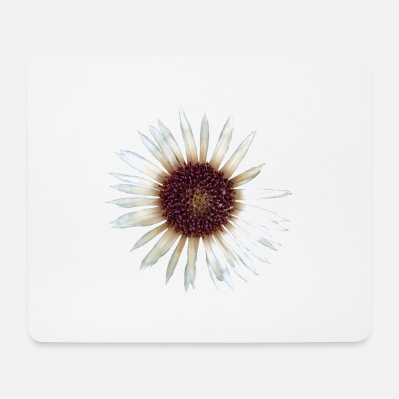 Silberdistel - Mousepad (Querformat) - Weiß