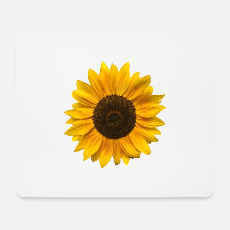 Sonnenblume (Blume / Blüte / Sonne) - Mousepad (Querformat) - Weiß