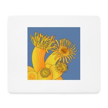 OrangeFarbene Korallen, Astroide-Polypen - Mousepad (Querformat) - Weiß - Vorne