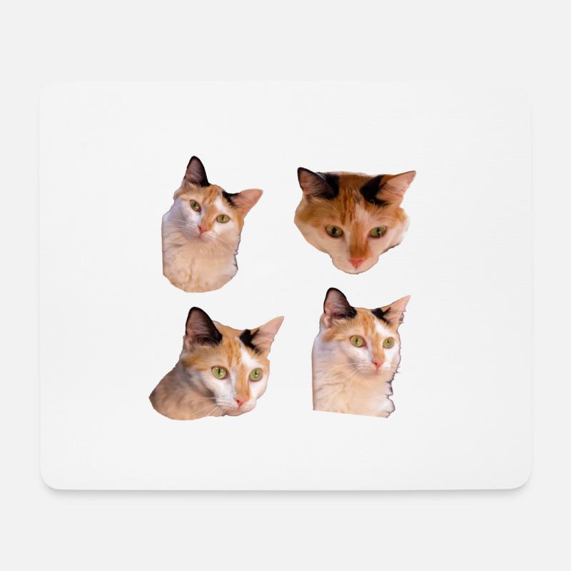 Kitties Katze Cool und süß Aufkleber Pack - Mousepad (Querformat) - Weiß