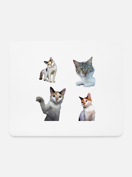 Packung Aufkleber Coole und niedliche Katzenkatzen - Mousepad (Querformat) - Weiß