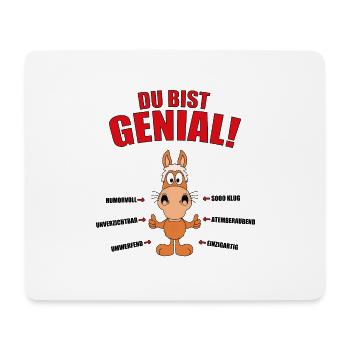 DU BIST GENIAL! - PFERD - REITEN - REITERIN - TIER - Mousepad (Querformat) - Weiß - Vorne