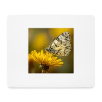 Weißer Schmetterling auf gelber Blüte - Mousepad (Querformat) - Weiß - Vorne