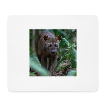 Fossa – Lautlose Jagd im Regenwald - Mousepad (Querformat) - Weiß - Vorne