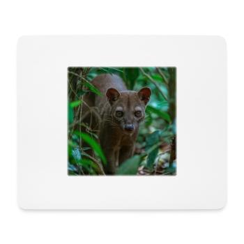 Fossa rare – Chasse silencieuse dans la forêt tropicale - Tapis de souris (format paysage) - blanc - Devant