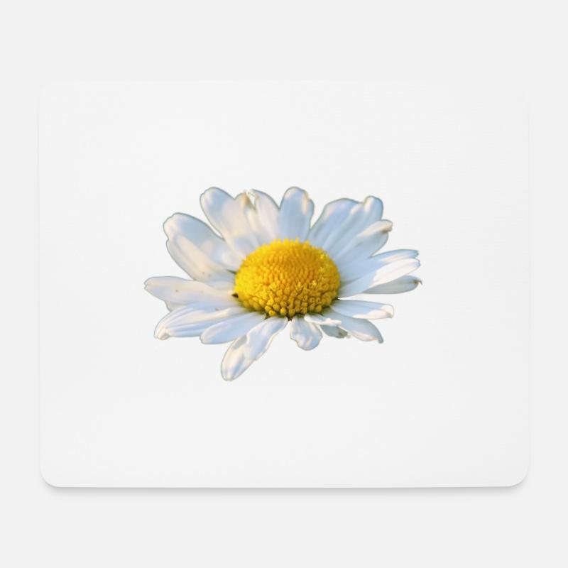 Margeriten Margerite weiße Blume Gänseblume - Mousepad (Querformat) - Weiß