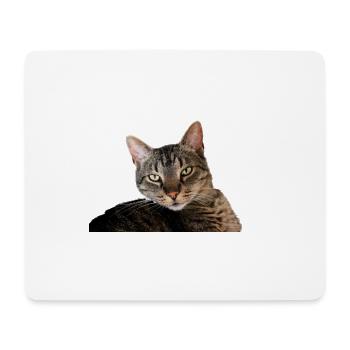 Chaton Chaton - Tapis de souris (format paysage) - blanc - Devant
