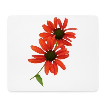 Echinacea ist seit alters her eine Heilpflanze - Mousepad (Querformat) - Weiß - Vorne
