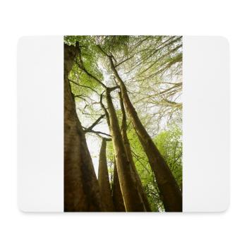 Springbäume aus einem niedrigen Winkel - Mousepad (Querformat) - Weiß - Vorne