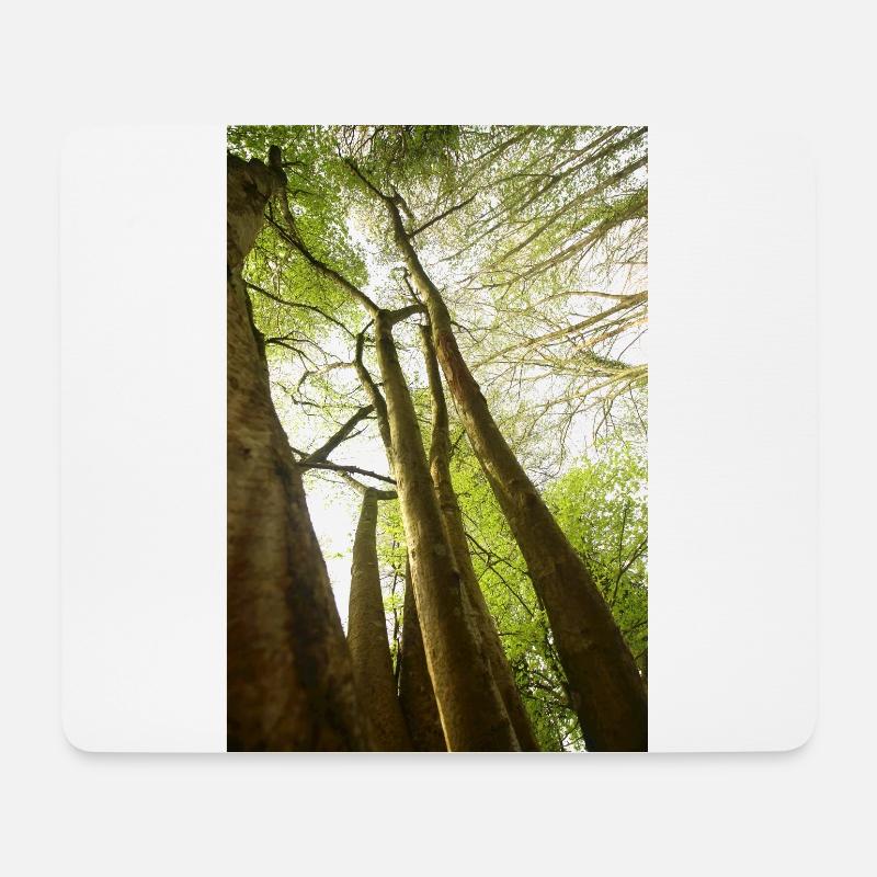 Springbäume aus einem niedrigen Winkel - Mousepad (Querformat) - Weiß