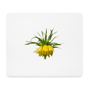 Couronne impériale Fleur de printemps Plante de lys Flore - Tapis de souris (format paysage) - blanc - Devant