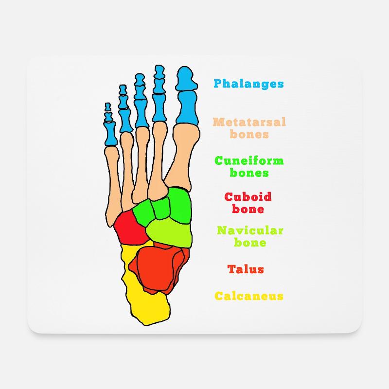 Fuß Anatomie Knochen Skelett Physiotherapie - Mousepad (Querformat) - Weiß