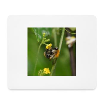 Hummel auf gelber Blüte - Mousepad (Querformat) - Weiß - Vorne