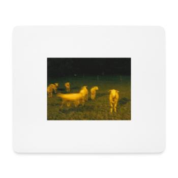 Sheep - Mousepad (Querformat) - Weiß - Vorne